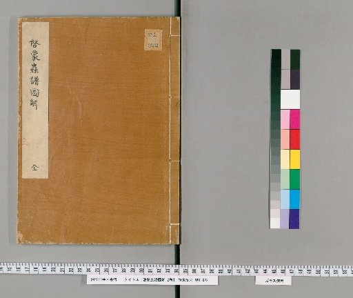 Illustrated Explanation of Insect Catalogue for Enlightenment, 2 Volumes