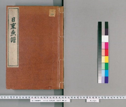 Fish Catalogue of the Eastern Seas