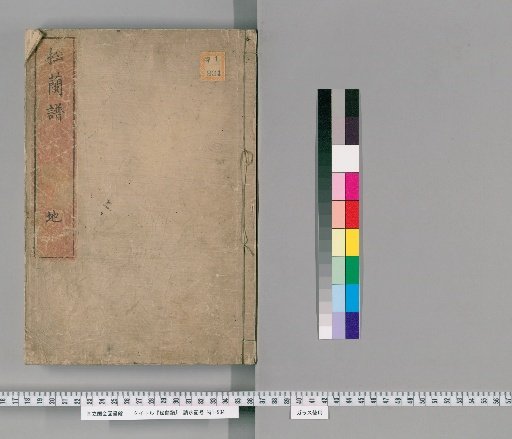 Pine Orchid Catalogue, Lower Volume