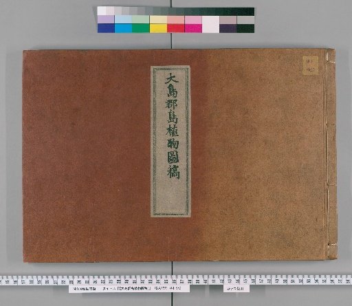 [Manuscript of Plants from the Oshima Islands]
