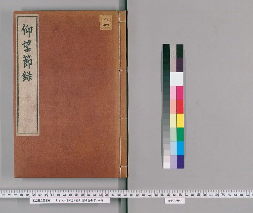 Record of Looking Up, with Addendum