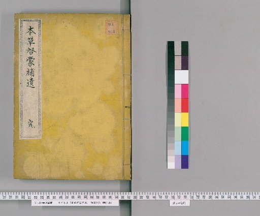 Supplement to the Introduction to Materia Medica