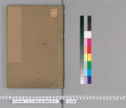 Illustrations of the Compendium of Materia Medica, Volumes 1-21, 39-52; Pulse Studies of Binhu, 1 Volume; Examination of the Eight Extraordinary Vessels, 1 Volume; Examination of the Pulse Formula, 1 Volume; Appendix: Catalogue of Items in the Compendium of Materia Medica, 1 Volume; Appendix of Names and Objects in Materia Medica, 1 Volume [28]