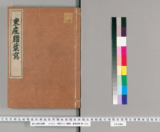 Copy of the Leaves of the Eastern Product [Sakura]