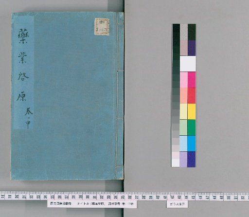 Origins of the Pharmaceutical Industry, Middle Volume