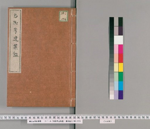 Remnants of the Examination of Names and Medicinal Mirror