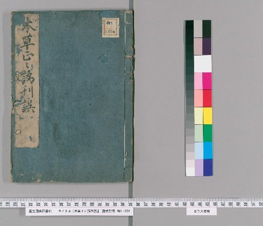 Correction of Errors in the Correct Materia Medica