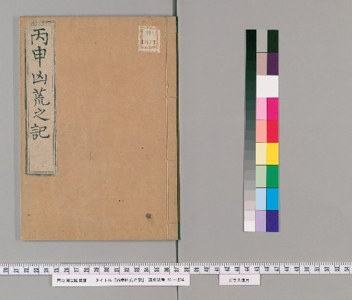 Record of the Calamity of the Year Hinoe-Saru