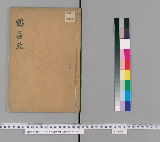 Examination of the Crane Louse