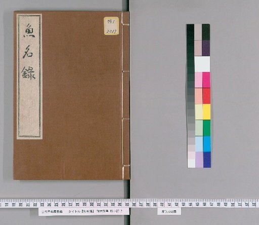 Catalogue of Fish Names