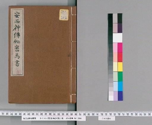 Secret Horse Book of the Anxi God