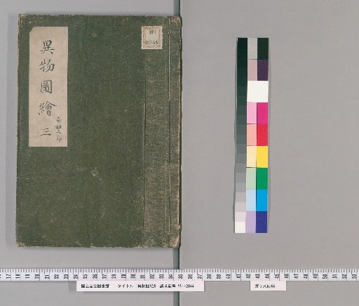 Illustrated Catalogue of Strange Objects