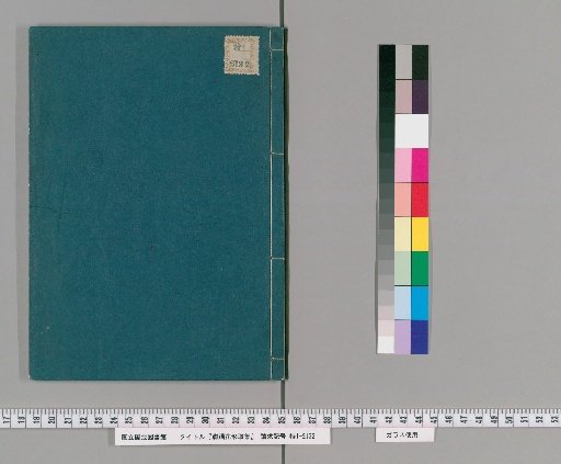 Collection of Azalea Flower Forms