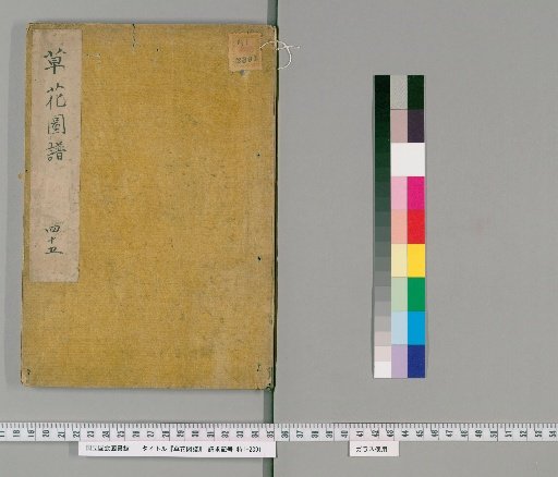 Illustrated Catalogue of Grasses and Flowers, Volume 45