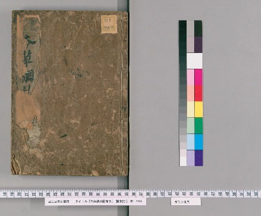 Compendium of Materia Medica: Illustrations, Lower Scroll