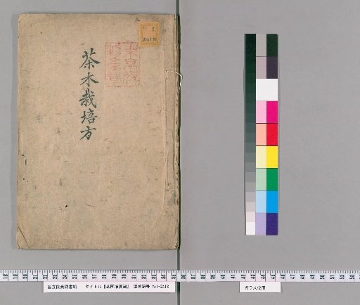 Chapter on Tea Garden Cultivation