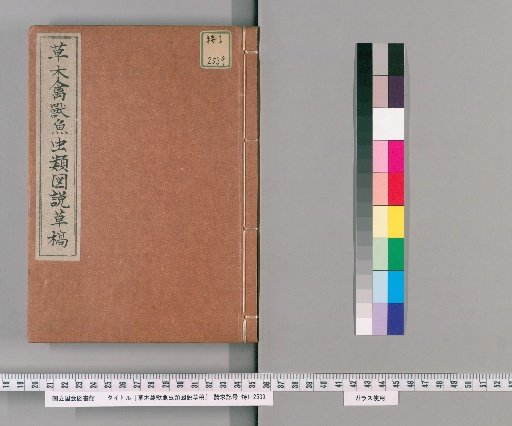 Draft Treatise on Illustrations of Plants, Birds, Beasts, Fish, and Insects