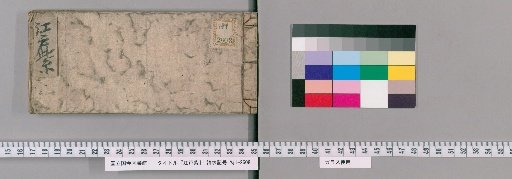 Edo Purple