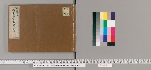 Copy of the List of Medicinal Herbs and Plants Entrusted to the Custody