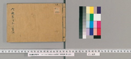 Genealogy of the Toda-Matsudaira Family