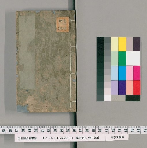 Measles Diary