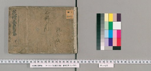 Collection for Cultivating Chrysanthemums in the Flower Bed, Lower Volume