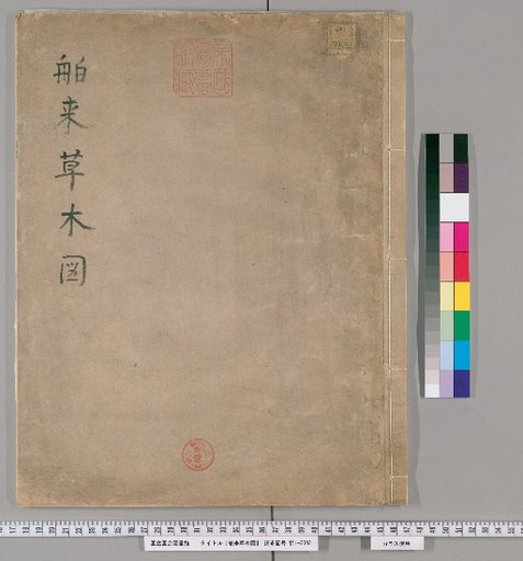 Illustrated Catalogue of Foreign Plants and Trees