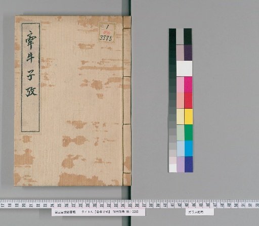 Examination of the Seed of the Morning Glory