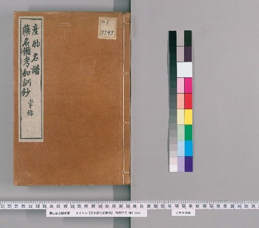 Supplemental Notes and Japanese Readings of Medicinal Names