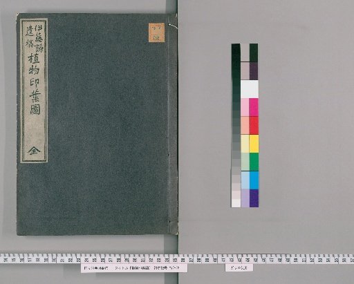 Illustrated Catalogue of Plant Leaf Prints