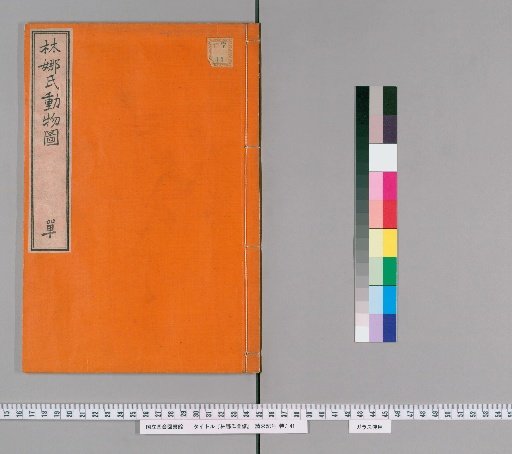 Lina's Illustrated Catalogue
