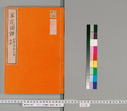 Illustrated Catalogue of Grasses and Flowers