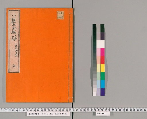 Butterfly Catalog