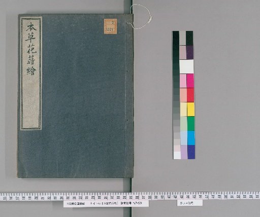 Illustrated Herbal Flowers: Volume 2