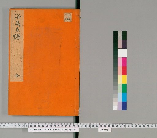 Yuzo Fish Catalogue