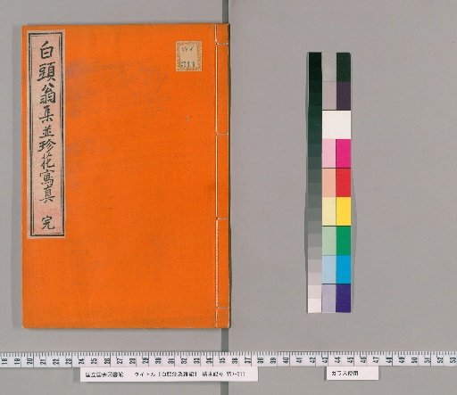 Rock Thrush and Miscellaneous Notes