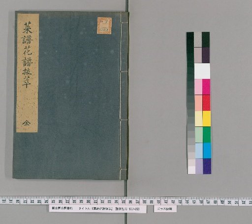 Selections from Vegetable and Flower Catalogs
