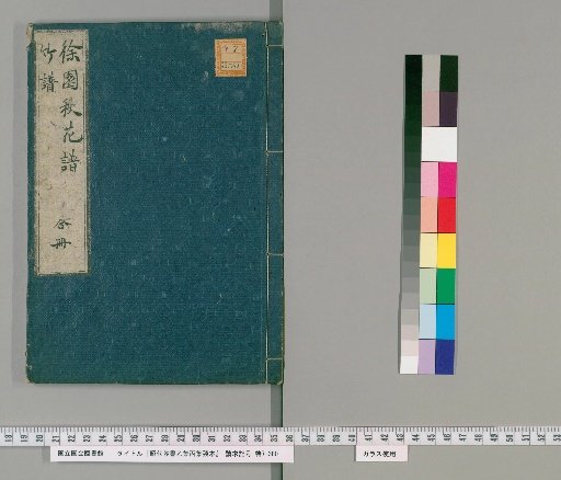 Zhaodai Congshu, Yi and Bing Collections, Fragmentary
