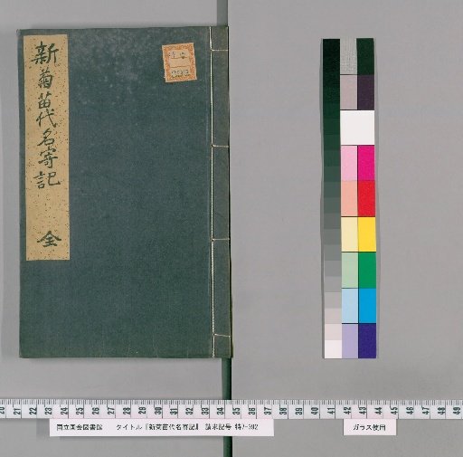 New Record of Chrysanthemum Seedling Names
