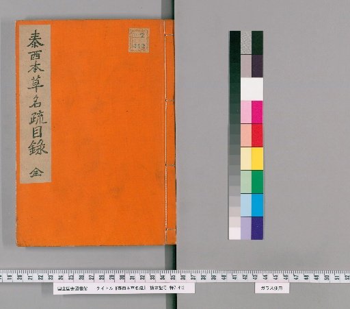 Western Materia Medica Name Dictionary