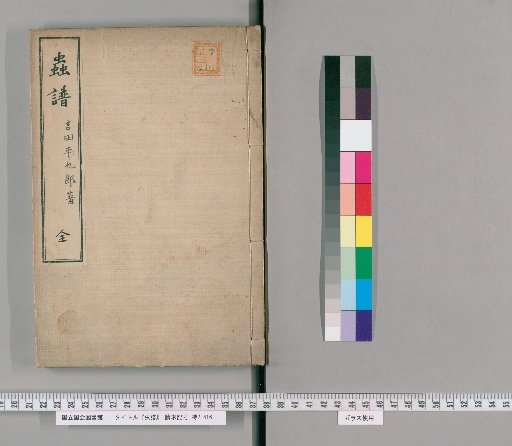 Insect Catalog