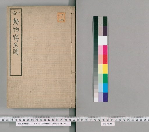 Animal Atlas