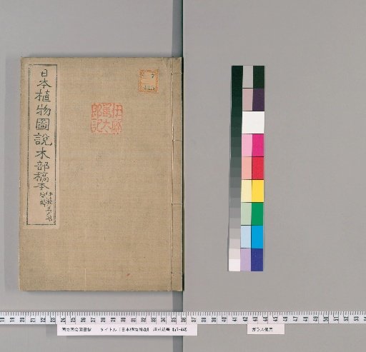 Illustrated Treatise on Japanese Plants: Trees, First Volume