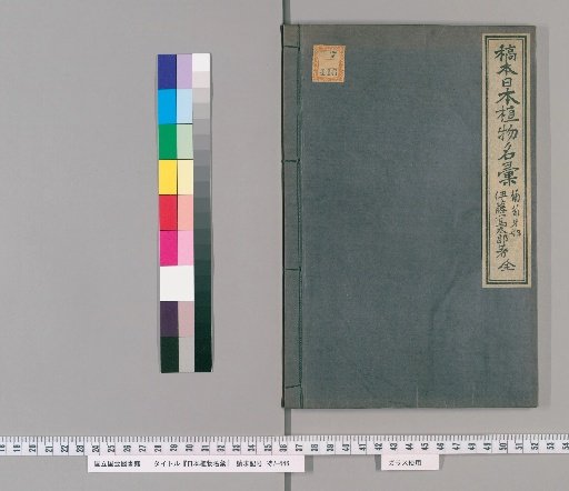 Compendium of Japanese Plant Names: Portuguese Section