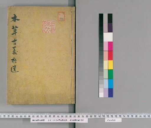 Supplement to Ancient Meanings of Herbal Medicine