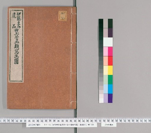 Sketches of Jade and Glass Beads from the Collection of Keisuke Ito