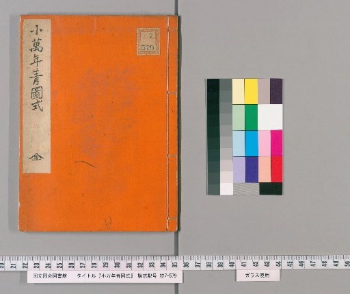 Diagrams of the Little万年 Green (Oxalis)