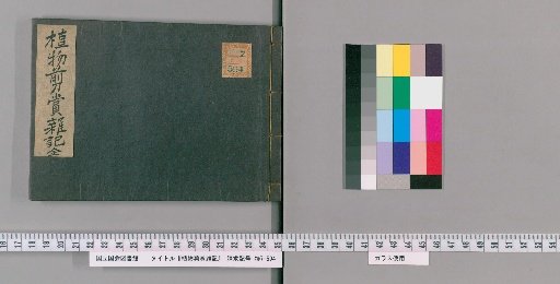 Miscellaneous Notes on Plant Pruning and Appreciation
