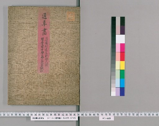 Illustrated Compendium of Krameriaceae