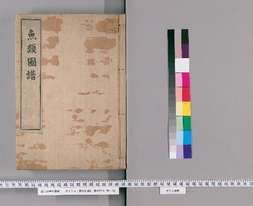 Illustrated Catalogue of Fish